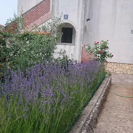 Apartmani Skrnjug Brzac Exterior photo